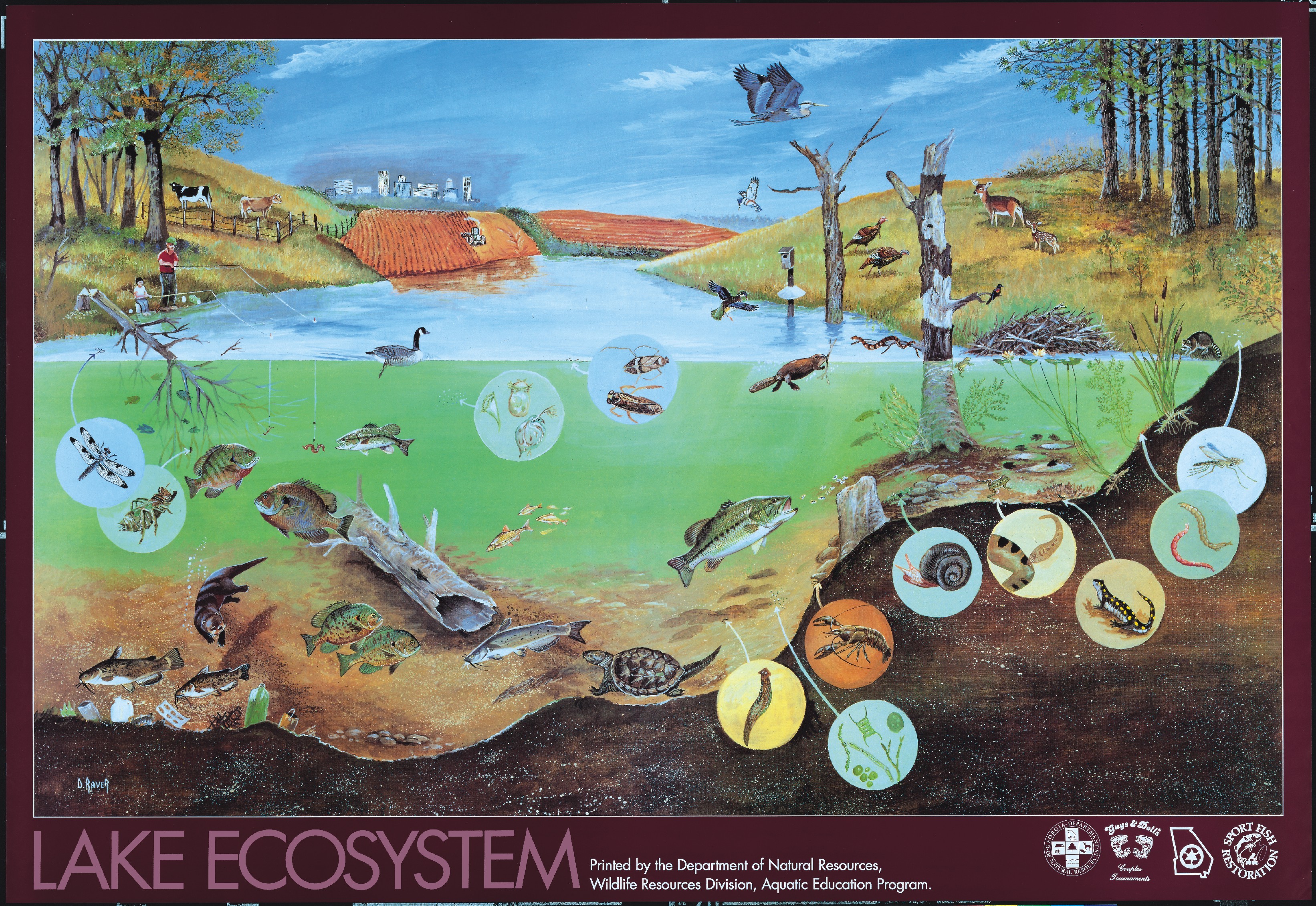  ecosystem